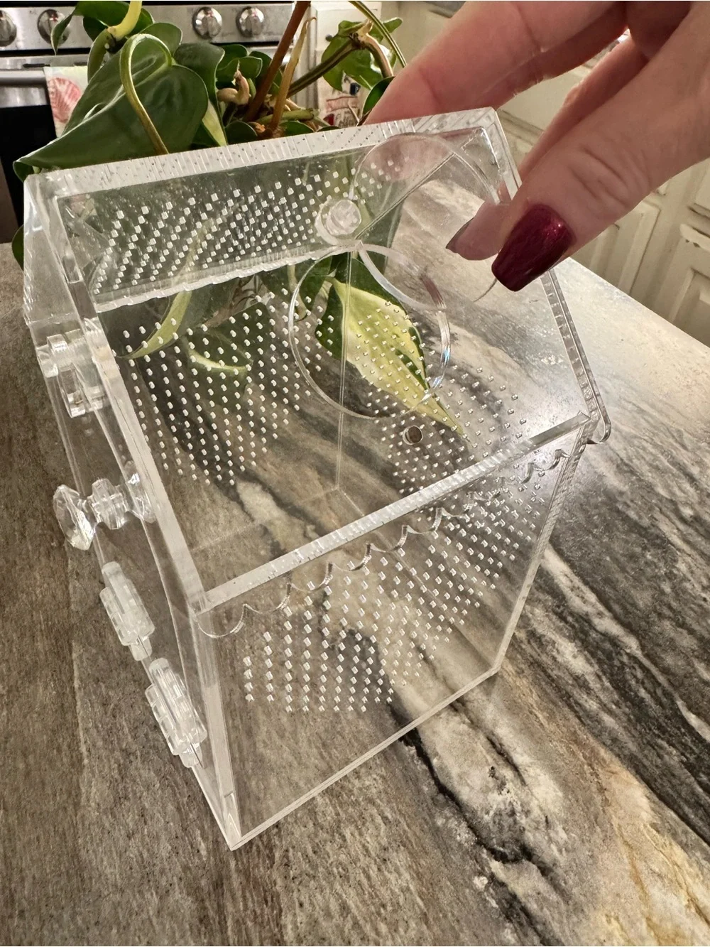 Clear Acrylic House-Shaped small pet enclosure